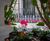 Bespoke aluminium planters for private London residence 6
