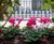 Bespoke aluminium planters for private London residence 11