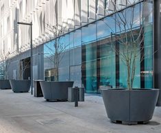 Large conical steel planters for Imperial College campus