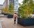 Bespoke steel tree planters - Good Hotel, London 6