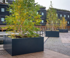 Bespoke steel tree planters - Good Hotel, London