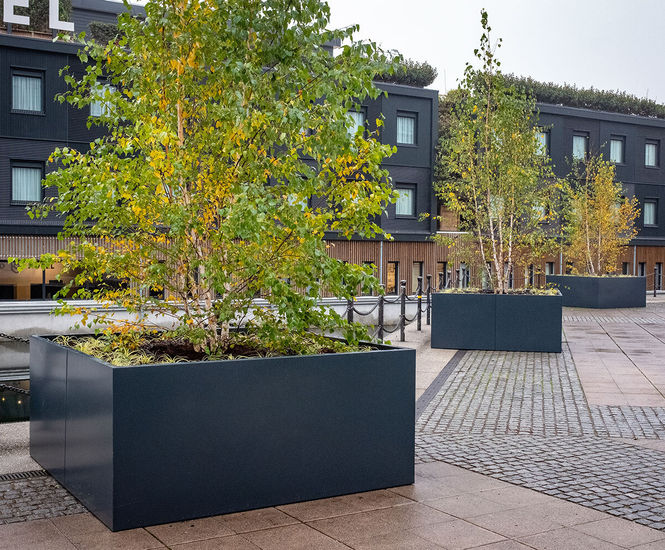 Bespoke steel tree planters - Good Hotel, London