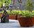 Corten steel planters with seating for public realm area 1