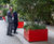 Coral Red shrub and tree street planters – Mayfair 3