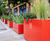 Coral Red shrub and tree street planters – Mayfair 2