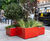Coral Red shrub and tree street planters – Mayfair 4