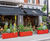 Coral Red shrub and tree street planters – Mayfair 5