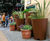 Conical planters for redeveloped shopping area – Bristol 6