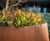 Bespoke large-scale corten steel planters - King's Cross 3