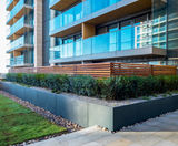 Planters and trellis - Victoria Square, Woking - on this page