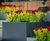 Bespoke metal planters for extensive multi-level garden 5