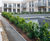 Bespoke large-scale planters for communal roof garden 5