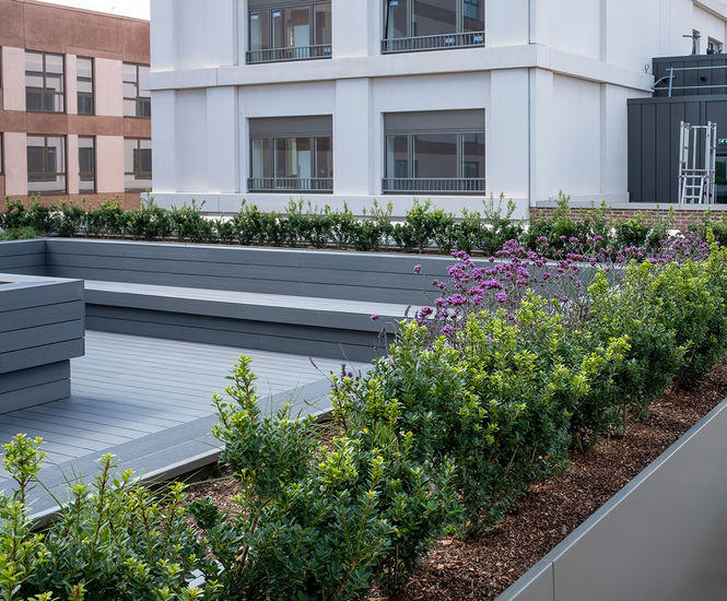 Bespoke large-scale planters for communal roof garden