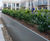 Bespoke large-scale planters for communal roof garden 2