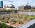 Bespoke large-scale planters for communal roof garden 6