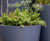 Bespoke steel street planters for Cardiff city centre 6