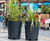 Bespoke steel street planters for Cardiff city centre 2