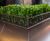Bespoke metal planters 11