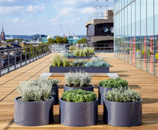 Bespoke planters for roof gardens