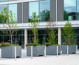 Movable zintec steel tree planters - University of Bath - on this page