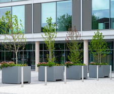Movable zintec steel tree planters - University of Bath