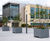 Movable zintec steel tree planters - University of Bath 1