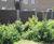 GovaWall® - solid recycled plastic closeboard fencing  3