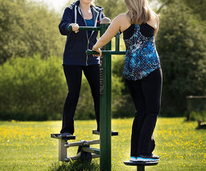 Twist & Step fitness station