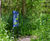Bespoke weatherproof metal signage for wetland trail 5