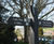 Durable recycled plastic signage for National Trust site 1