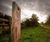 Signage and waymarker posts for country park - Dagenham 4