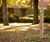 Wayfinding for zoo-themed walking trails – Kidlington 5