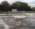Wastewater treatment blowers for pressure (exhauster) and vacuum duties 0
