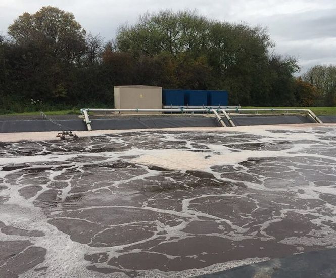 Wastewater treatment blowers for pressure (exhauster) and vacuum duties