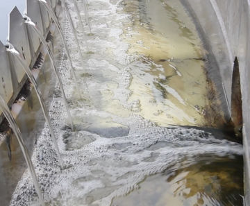 Dissolved air flotation plant for water and effluent