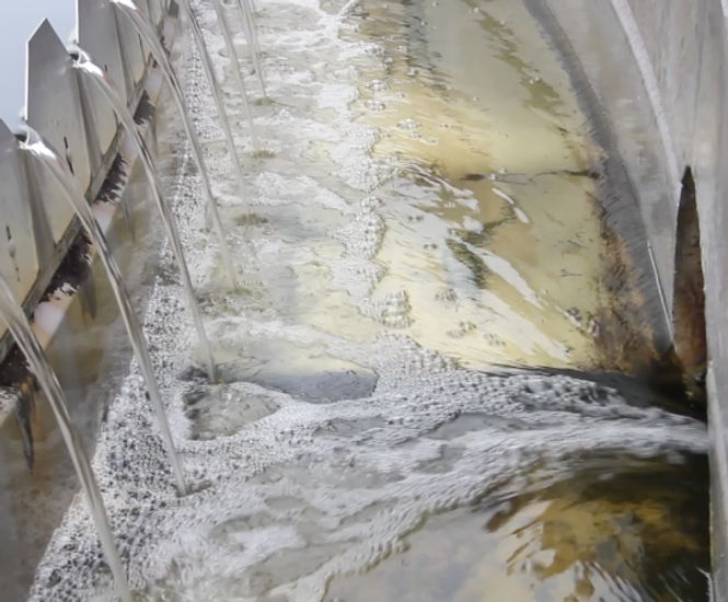Dissolved air flotation plant for water and effluent