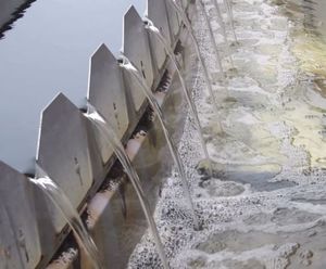 Maintaining effluent consent for beverage manufacturer