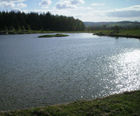 Water feature construction services