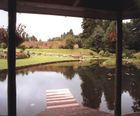 Pond design and construction services