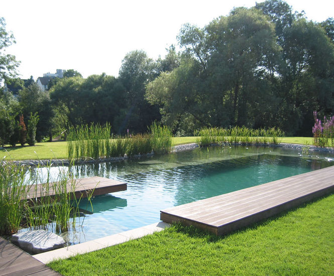 Natural swimming pool design and construction services