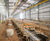 Sustainable drainage system for Stoke Gifford Rail Depot 1