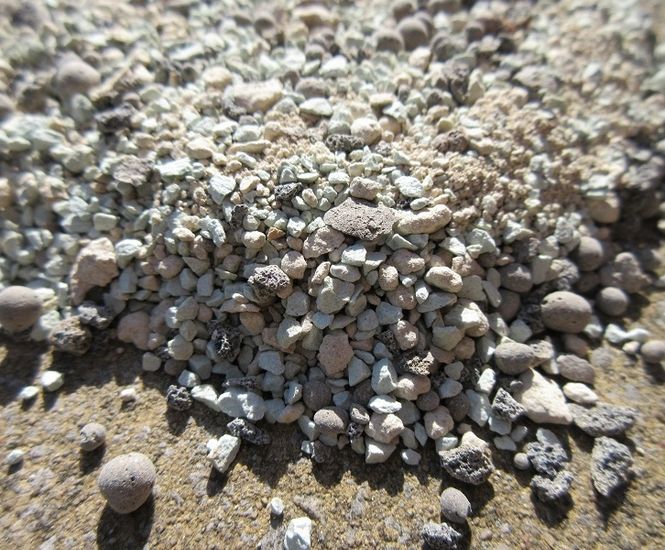 SDS AquaXchange Engineered Filter Media SDS