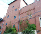 Green wall solution for shopping centre - on this page