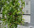 Green wall cover for industrial units 4
