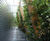 Green wall to shade and conceal sports hall 2