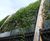Green wall to shade and conceal sports hall 4