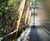 Green wall to shade and conceal sports hall 6