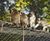 Webnet - stainless steel mesh for zoo animal enclosures and habitats 1