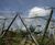 Webnet - stainless steel mesh for zoo animal enclosures and habitats 4