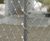 Webnet - stainless steel mesh for zoo animal enclosures and habitats 7